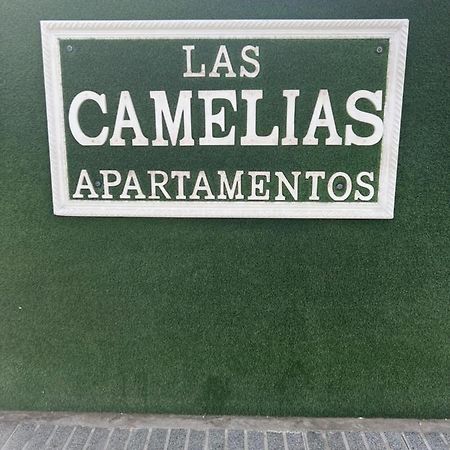 Yumbo Appartamenti Las Camelias Playa Del Ingles Ngoại thất bức ảnh
